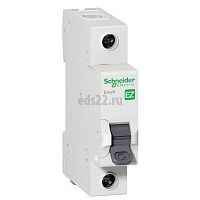   1 10  4,5 Easy 9 Schneider Electric EZ9F14110