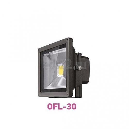   30 IP65  OFL-30 LED 6000 .71658 
