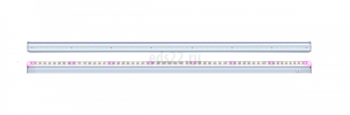     8 600 LED PLED T5i LINE Agro WHITE 5025998 Jazzway (     )