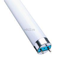 Лампа линейная люминисцентная ЛД 12Вт G5 Т4 840 арт.94102 Navigator