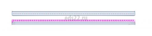     8 600 LED PLED T5i LINE Agro 5025936 Jazzway (     )
